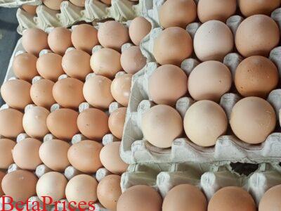 Fresh Eggs for sale